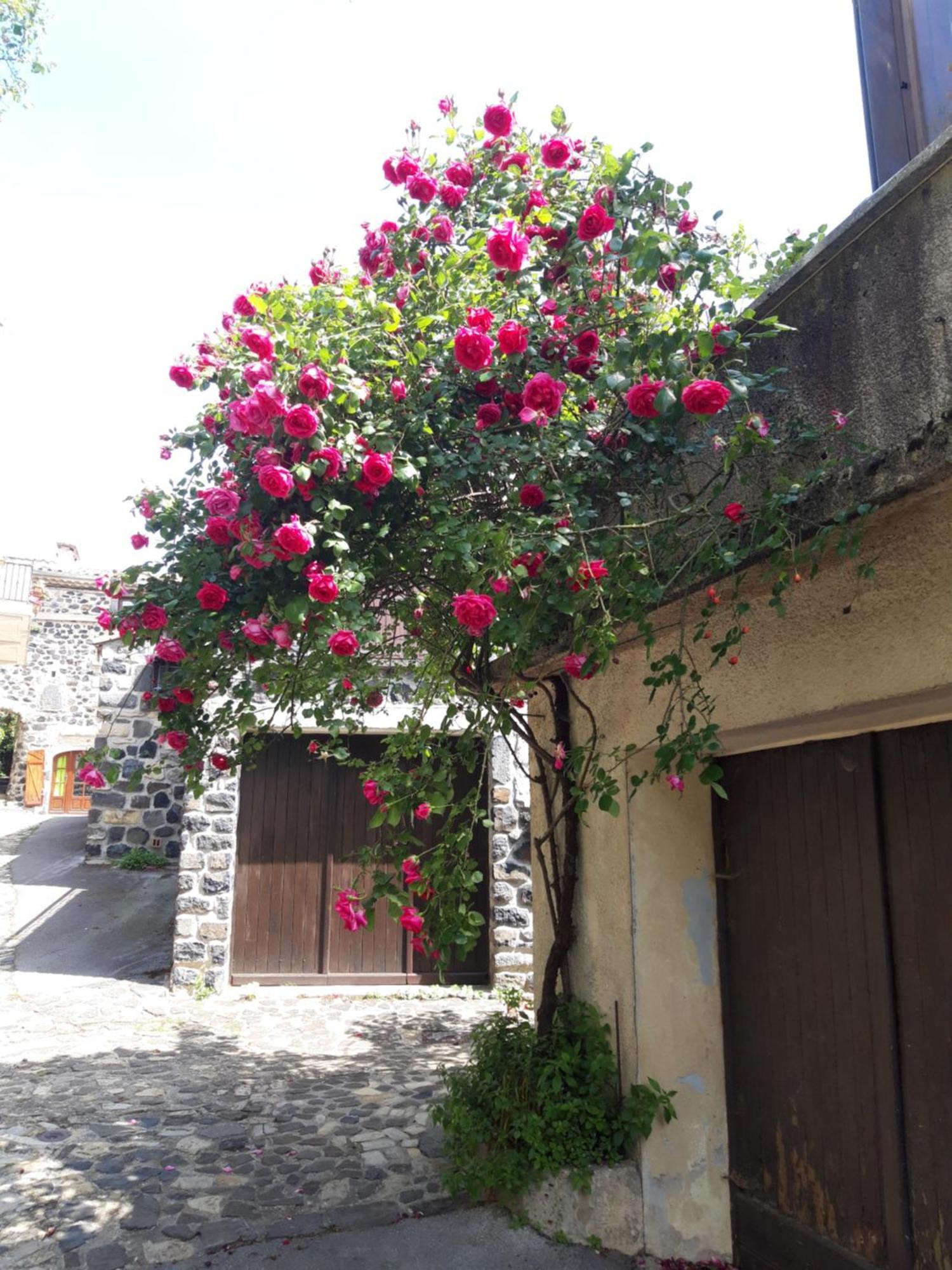 Le Cocon Lussas Exterior foto